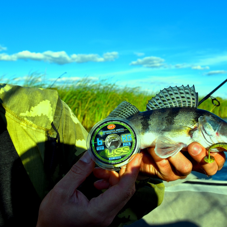 Gliss, le compromis idéal entre tresse & nylon