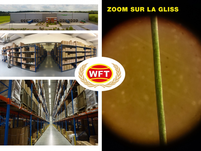 WFT dispose d un entrepot de grande hauteur avec plus de 3000 emplacements de stockage